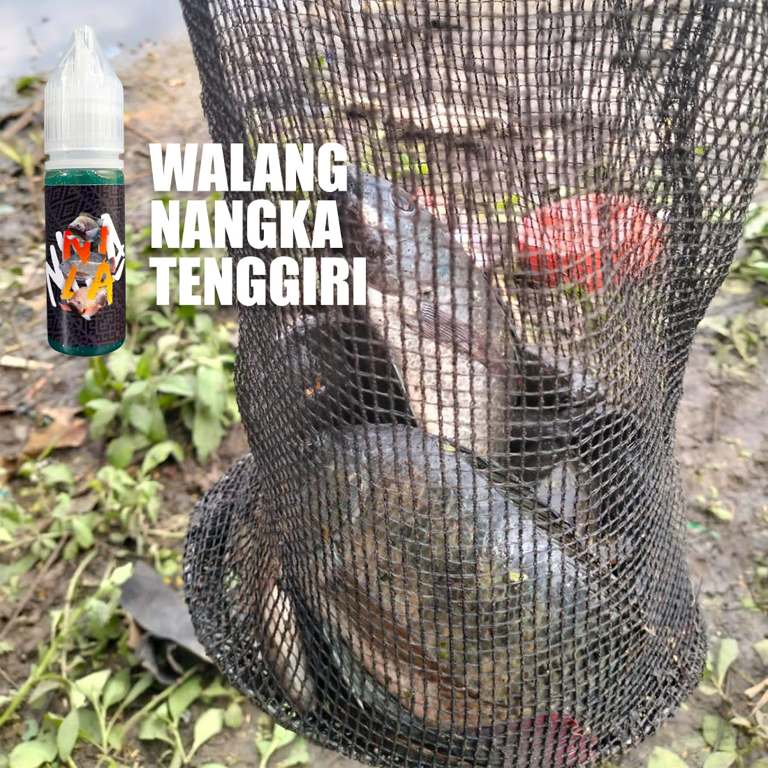 Essen Ikan Nila Walang Nangka - RK Mancing - Image 3
