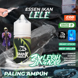Essen Ikan Lele