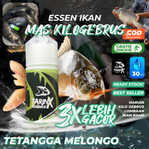 Essen Ikan Mas Melon Kweni - TarinX Mancing